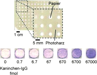 Paper-Based ELISA