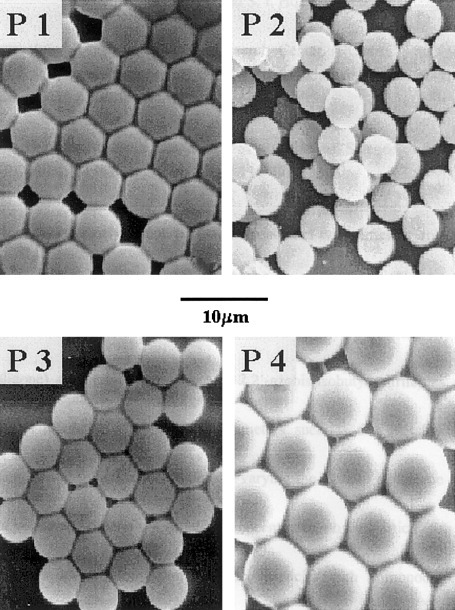 Synthesis of highly crosslinked monodisperse polymer particles: Effect of reaction parameters on the size and size distribution