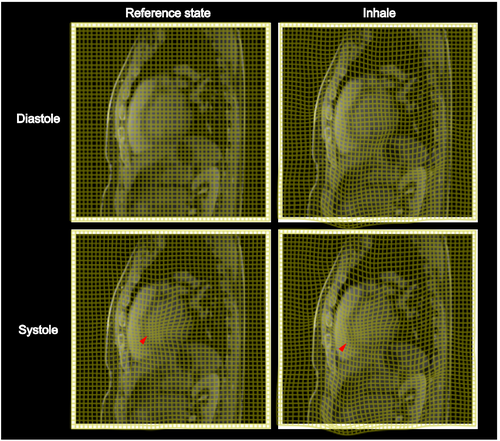 Details are in the caption following the image Details are in the caption following the image