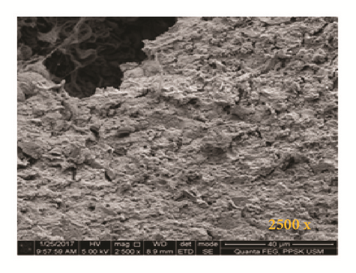 Details are in the caption following the image