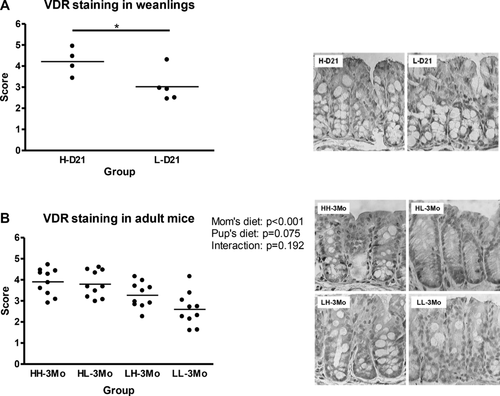 Details are in the caption following the image Details are in the caption following the image