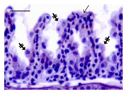 Details are in the caption following the image