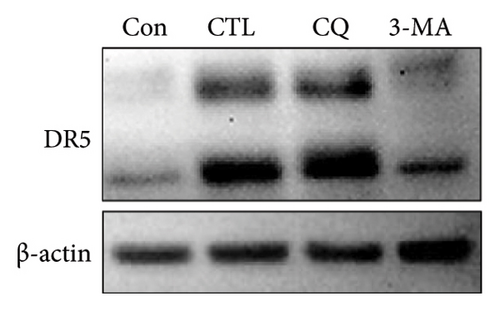 Details are in the caption following the image