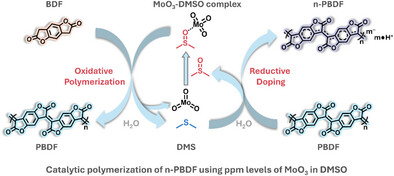 Catalytic Polymerization of n-Doped Poly(benzodifurandione) (n-PBDF) Using Parts Per Million (ppm) Levels of Molybdenum Trioxide