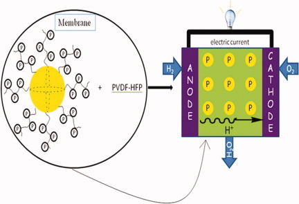 New hybrid membranes based on phosphonic acid functionalized silica particles for PEMFC