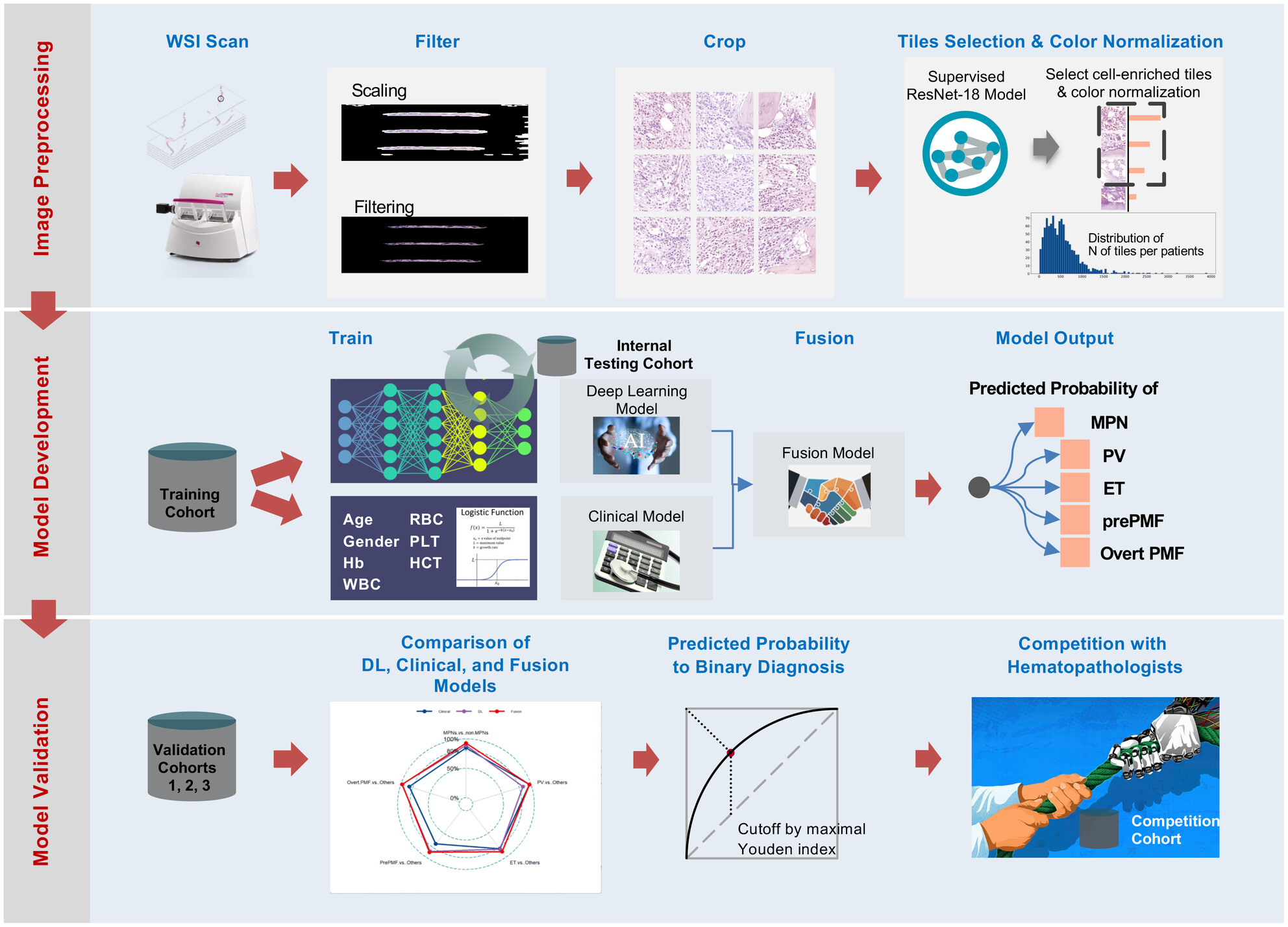 Development and validation of a deep learning model for morphological assessment of myeloproliferative neoplasms using clinical data and digital pathology