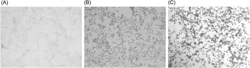 Details are in the caption following the image