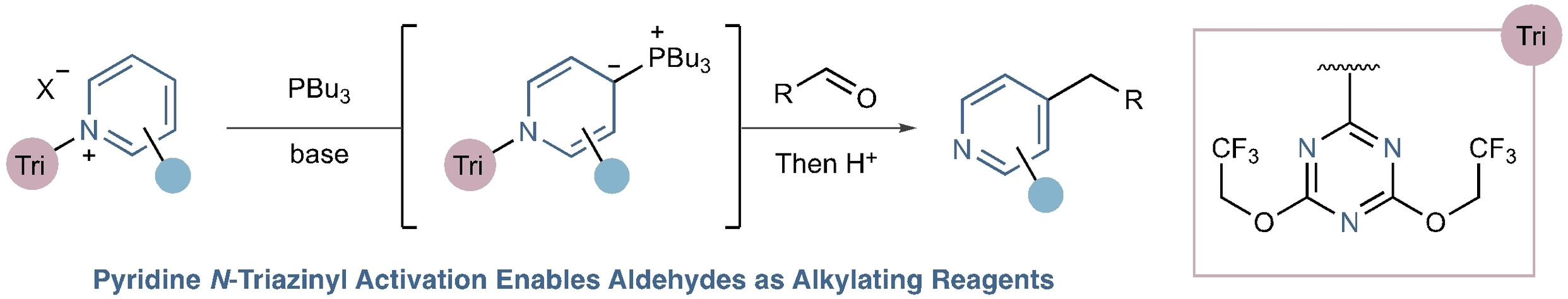 Four-Selective Pyridine Alkylation via Wittig Olefination of Dearomatized Pyridylphosphonium Ylides