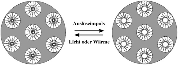 Photoresponsive Nanocomposite Formed by Self-Assembly of an Azobenzene-Modified Silane
