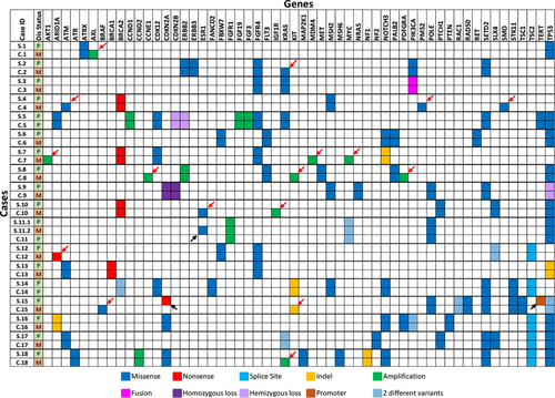 Details are in the caption following the image Details are in the caption following the image