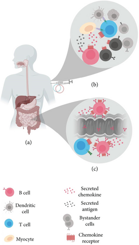 Details are in the caption following the image Details are in the caption following the image