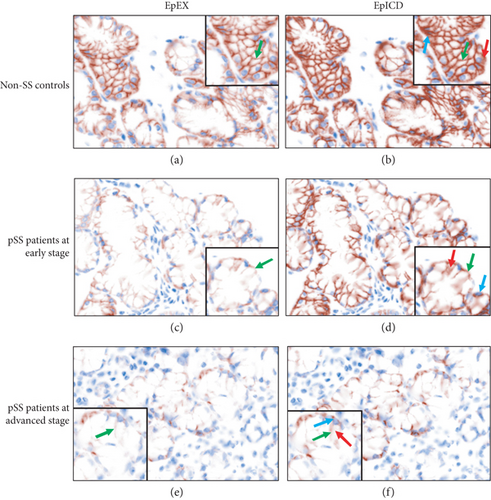 Details are in the caption following the image Details are in the caption following the image