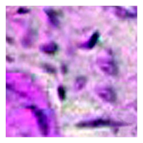 Details are in the caption following the image
