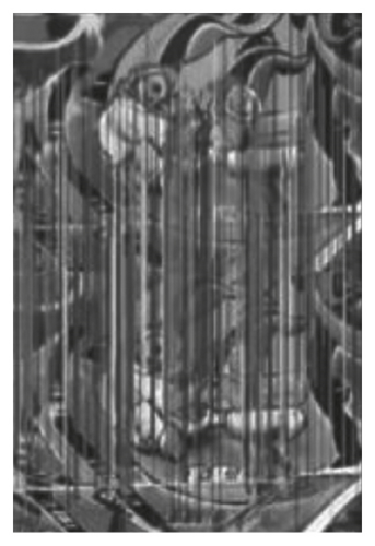 Details are in the caption following the image Details are in the caption following the image