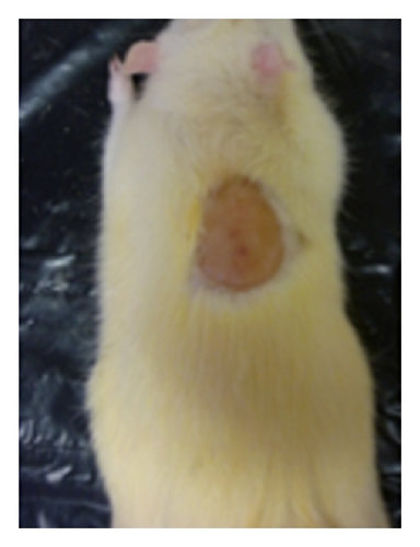 Details are in the caption following the image