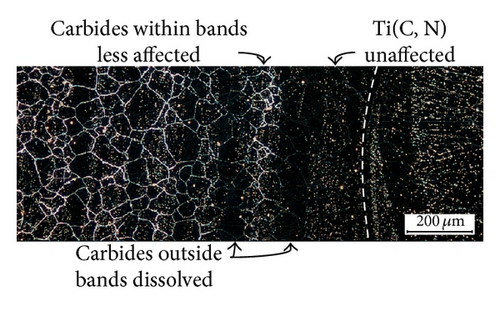 Details are in the caption following the image Details are in the caption following the image