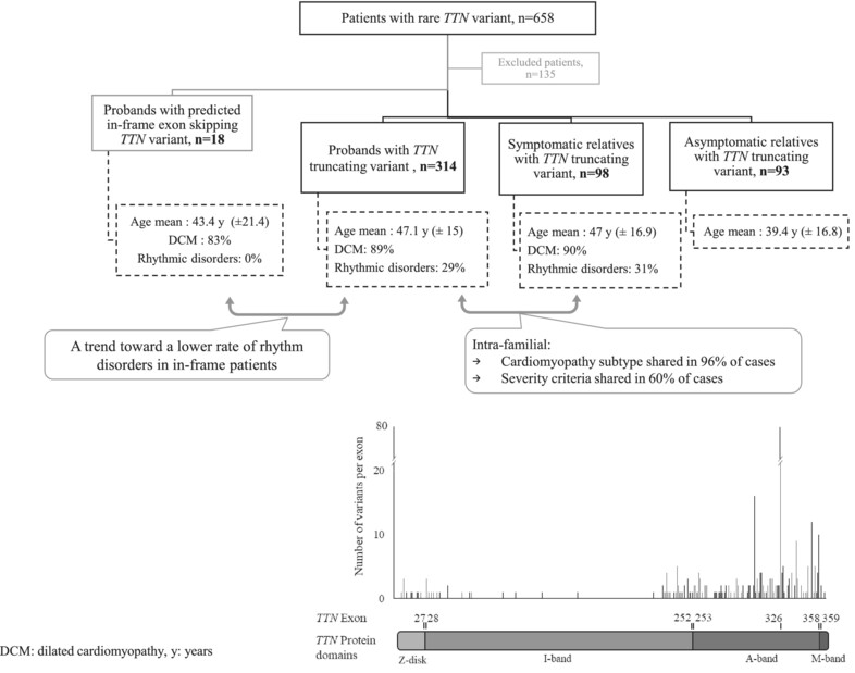 Exploring the Familial Phenotypic Variability Associated With TTN Truncating Variants in Cardiomyopathies: Variant Spectrum, Genotype–Phenotype Correlation and Consequences in Genetic Counseling