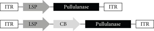 Details are in the caption following the image