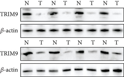 Details are in the caption following the image