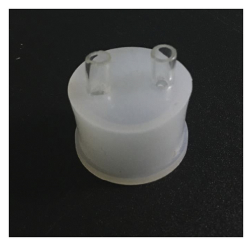 Details are in the caption following the image Details are in the caption following the image