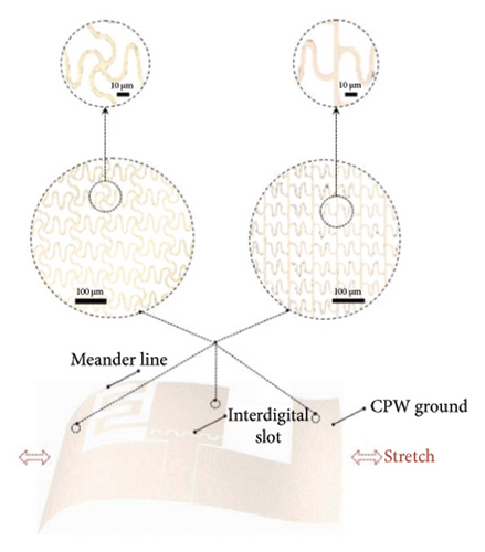Details are in the caption following the image Details are in the caption following the image