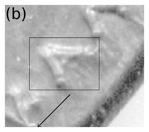 Details are in the caption following the image