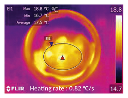 Details are in the caption following the image Details are in the caption following the image