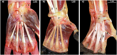 Details are in the caption following the image Details are in the caption following the image