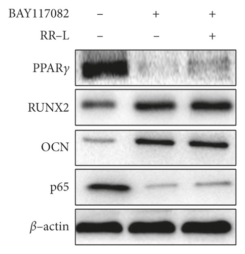 Details are in the caption following the image