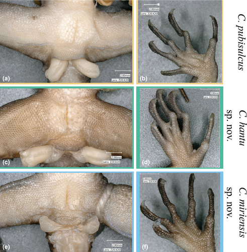 Details are in the caption following the image Details are in the caption following the image