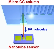 On-Chip Micro Gas Chromatograph Enabled by a Noncovalently Functionalized Single-Walled Carbon Nanotube Sensor Array