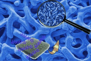 One-Step Synthesis of Self-Supported Nickel Phosphide Nanosheet Array Cathodes for Efficient Electrocatalytic Hydrogen Generation