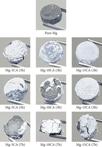 Details are in the caption following the image Details are in the caption following the image