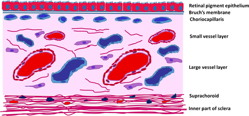 Details are in the caption following the image Details are in the caption following the image