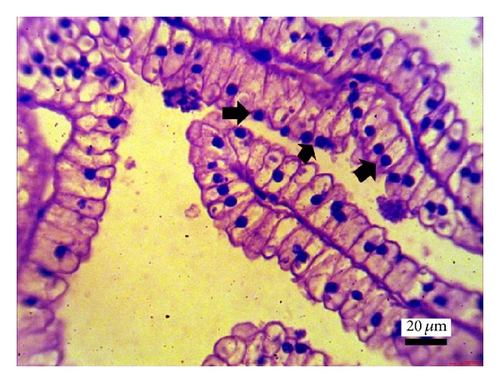 Details are in the caption following the image