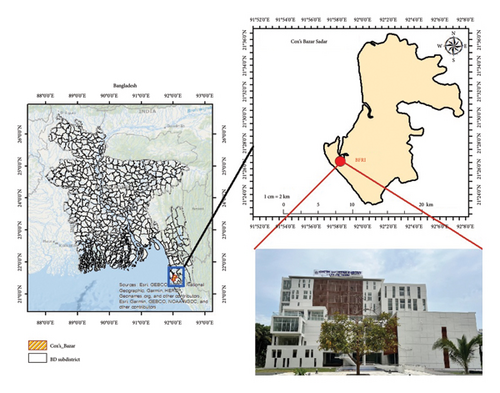 Details are in the caption following the image Details are in the caption following the image