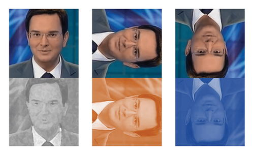 Details are in the caption following the image Details are in the caption following the image