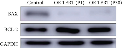 Details are in the caption following the image