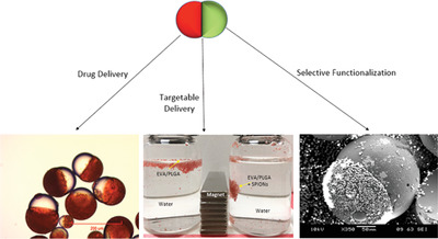 Hybrid Janus Microparticles Achieving Selective Encapsulation for Theranostic Applications via a Facile Solvent Emulsion Method