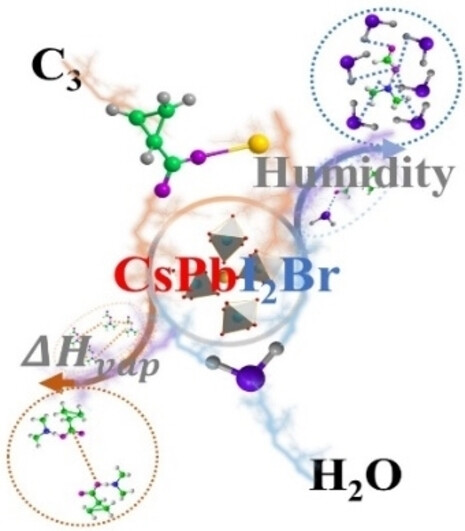 Cesium Cyclopropane Acid-Aided Crystal Growth Enables Efficient Inorganic Perovskite Solar Cells with a High Moisture Tolerance