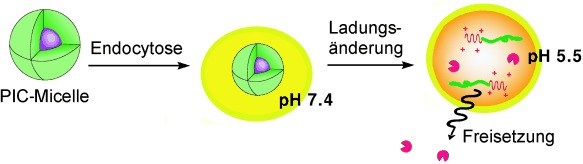 Charge-Conversional Polyionic Complex Micelles—Efficient Nanocarriers for Protein Delivery into Cytoplasm