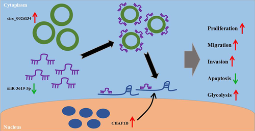Details are in the caption following the image