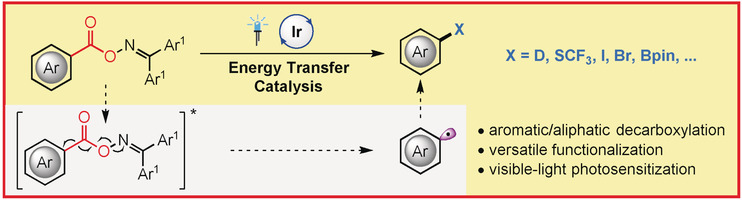 Visible-Light-Photosensitized Aryl and Alkyl Decarboxylative Functionalization Reactions