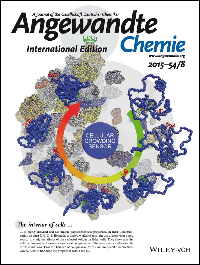 Inside Back Cover: Excluded-Volume Effects in Living Cells (Angew. Chem. Int. Ed. 8/2015)