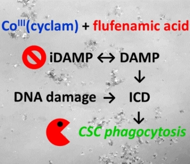 A Breast Cancer Stem Active Cobalt(III)-Cyclam Complex Containing Flufenamic Acid with Immunogenic Potential