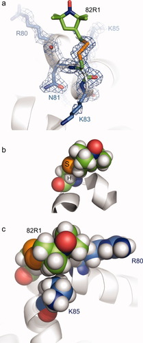 Details are in the caption following the image Details are in the caption following the image