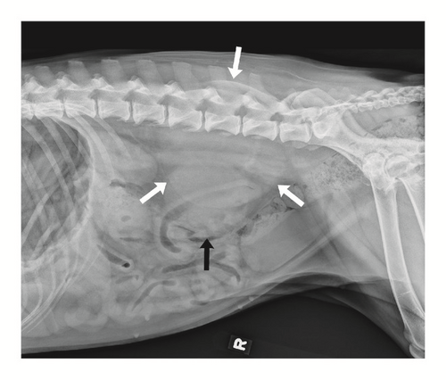Details are in the caption following the image