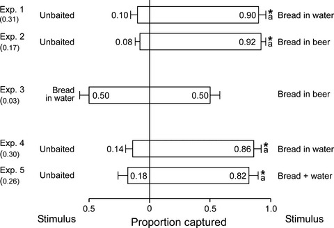 Rye bread and synthetic bread odorants – effective trap bait and lure for German cockroaches