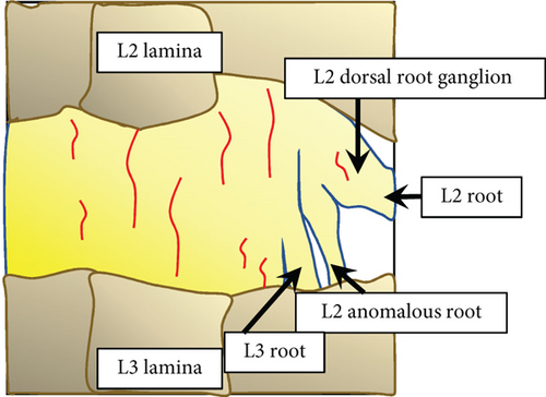 Details are in the caption following the image Details are in the caption following the image