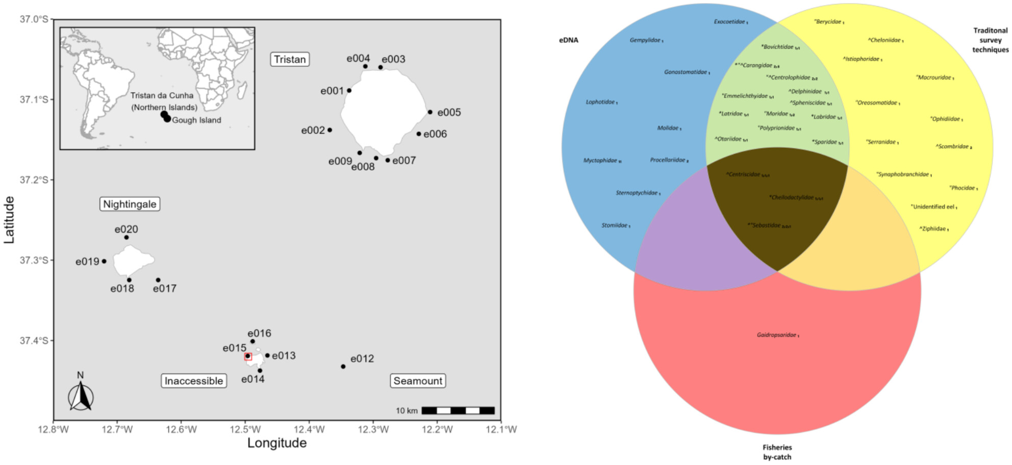 The First eDNA-Based Assessment at the World's Most Remote Inhabited Islands: Investigating Marine Vertebrate Diversity at Tristan da Cunha